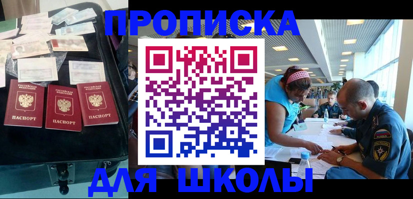 временная регистрация 2025 в Палласовке